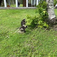 Tinidee Hideaway Tonsai Beach Krabi