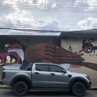 Yala bird city street art