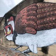 Yala bird city street art