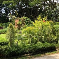 Tree House Cafe & Restaurant