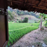 โกวิทกระท่อมปลายนา แม่แจ่ม