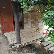 โกวิทกระท่อมปลายนา แม่แจ่ม