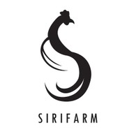 ข้าวมันไก่ไทย ศิริฟาร์ม