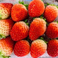 Fruit Addicts ผลไม้สดปอกพร้อมทาน เชียงใหม่ สาขา ซอยโรงพักแม่ปิง สันป่าเลียง