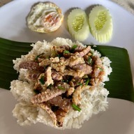 กะเพราหน้าค่าย