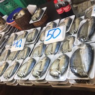 Fish shop ท่าข้าม