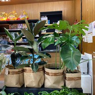 Villa Market Paseo Lat Krabang