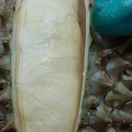 ทุเรียน@ดีโม่ เสนานิคม