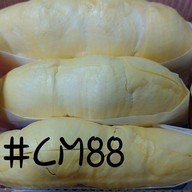 ทุเรียน@ดีโม่ เสนานิคม