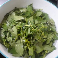 อ้อขนมจีนวัดหนองเกตุน้อย