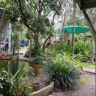 Ozark By Food4 Thought