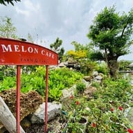 Melon Cafe Melon JJ Farm