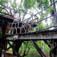 ธารคีรี (สวนน้ำกำนัน)