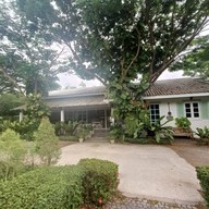 บรรยากาศ Tree House Cafe & Restaurant