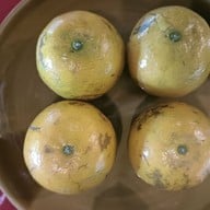 Hmong Hilltribe Lodge