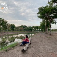 บรรยากาศ Plenti Farm นครปฐม