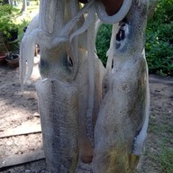ร้านจ๊ะบ๊ะ @ หัวสะพานฉางหลาง