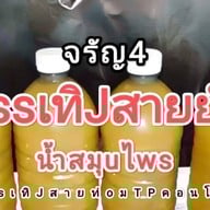 น้ำสมุนไพรจรัญ4(ใบกระท่อมชุมพร) Tpcondo