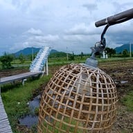 บรรยากาศ PAUSE Cafe & Homestay Lopburi Lopburi