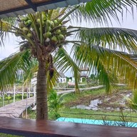 บรรยากาศ PAUSE Cafe & Homestay Lopburi Lopburi