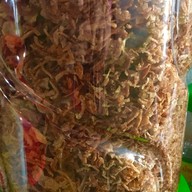 ซุปตีนวัว ละมุนลิ้น ละลาย ในปาก halal food ซุปตีนวัว สาขา1