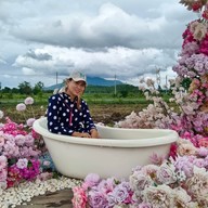 บรรยากาศ PAUSE Cafe & Homestay Lopburi Lopburi