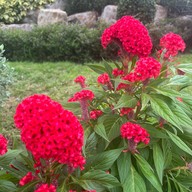 Malangpor Hall and Garden