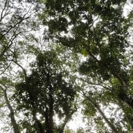 วัดเขาแตงอ่อน