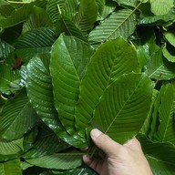 เมนูของร้าน อิ่มแปร้ ตามสั่ง 100 เมนู