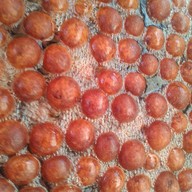 กล้วยทอด มันทอด ตลาดอุดมกิตต์2