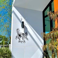 Cubes Cafe'