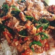 ราชาเห็ดป่า