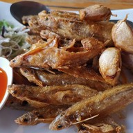 อารยา เขื่อนสิรินธร