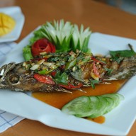 เมนูของร้าน ร้านอาหารกุ้งมังกร ซีฟู้ด อ่าวนาง กระบี่ : Kungmoungkorn Restuarant