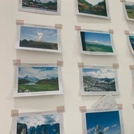 Tickled Pink Ubon Old Town