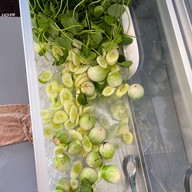 ข้าวแกง ครัวไทย ปตท.