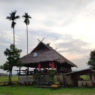 Akha Mino Coffee Chiangrai