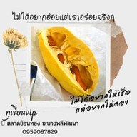 ทุเรียนVip  c3