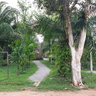 Go Back Home -
