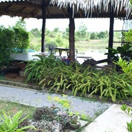 Go Back Home -