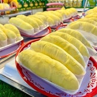 น้องนิดระยอง ทุเรียนปลอดสาร อ.ต.ก. หน้าโครงการหลวง