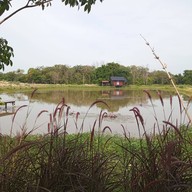 บรรยากาศ Rimna Cafe