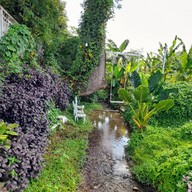 บรรยากาศ 3199 Cafe' Latya