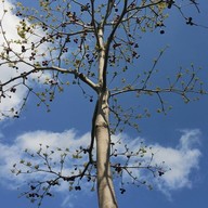 บรรยากาศ วัดเขาน้อย ร่อนพิบูลย์