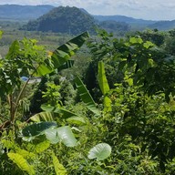 วัดเขาน้อย ร่อนพิบูลย์