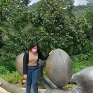 บรรยากาศ จุดเช็คอินเขาช้างสี