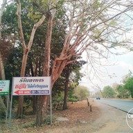 แอ็ด ไก่ย่างพุแค