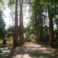 แอ็ด ไก่ย่างพุแค