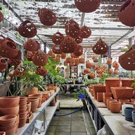 บรรยากาศ Cactus Morning (แคคตัส มอร์นิ่ง)