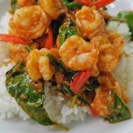 กระเพาปาดเหงื่อ สาขา1